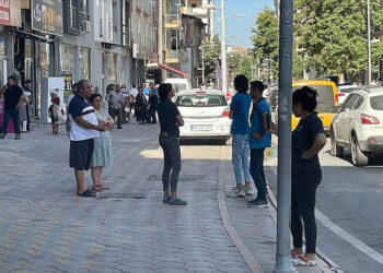 თურქეთში 4,8 და 4,5 მაგნიტუდის სიმძლავრის ორი მიწისძვრა მოხდა