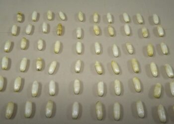 განსაკუთრებით დიდი ოდენობით ნარკოტიკის საქართველოში შემოტანისთვის უცხო ქვეყნის 3 მოქალაქე დააკავეს