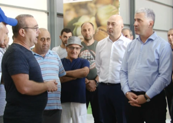 რამ გამოიწვია თხილის ფასის დაცემა – გურიაში მყოფი სოფლის მეურნეობის მინისტრის და ფერმერების შეფასებები