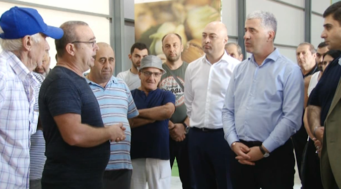 რამ გამოიწვია თხილის ფასის დაცემა – გურიაში მყოფი სოფლის მეურნეობის მინისტრის და ფერმერების შეფასებები