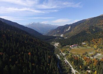 კურორტ შოვში მეწყერი ჩამოწვა