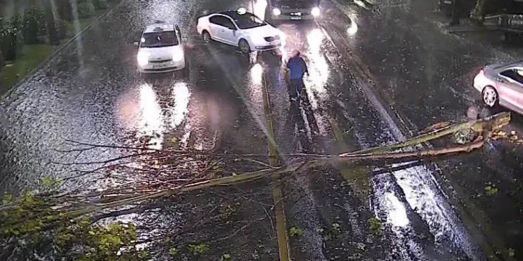 დატბორილია ქუჩები და მიწისქვეშა გადასასვლელები, წაქცეულია ხეები, დაზიანებულია ელექტროსადენები – სტიქია თბილისში