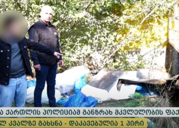 ვიდეო – შვილმა მამა მოკლა, კვალის დაფარვის მიზნით ცხედარი თბილისში კუთვნილ აგარაკზე გადაიტანა