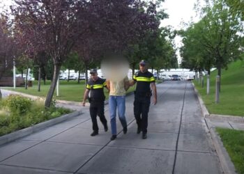 ვიდეო – საპატრულო პოლიციამ ნარკოდანაშაულის ფაქტზე რუსეთის მოქალაქე დააკავა