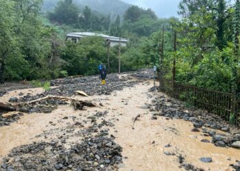 სტიქია ოზურგეთში – დატბორილია საცხოვრებელი სახლები, მოტეხილია ხეები და ჩამოშლილია მიწის მასები