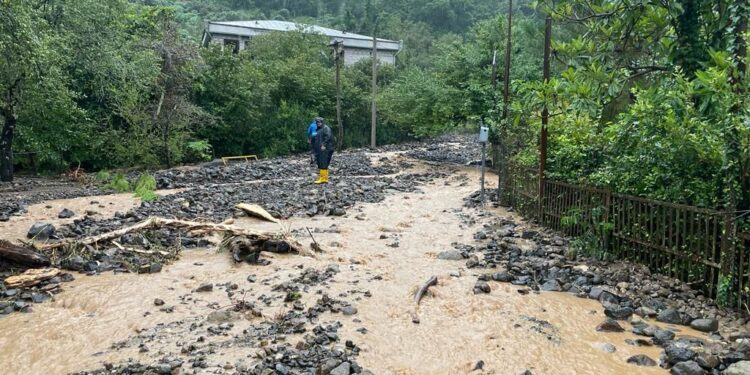 სტიქია ოზურგეთში – დატბორილია საცხოვრებელი სახლები, მოტეხილია ხეები და ჩამოშლილია მიწის მასები