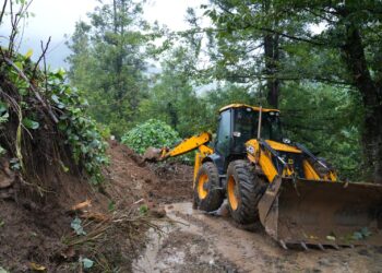 სტიქია ოზურგეთში – დატბორილია საცხოვრებელი სახლები, მოტეხილია ხეები და ჩამოშლილია მიწის მასები