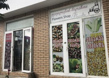 რა ღირს დღეს თხილი ოზურგეთში და როგორია მისი ხარისხი