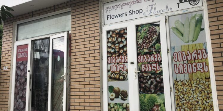 რა ღირს დღეს თხილი ოზურგეთში და როგორია მისი ხარისხი