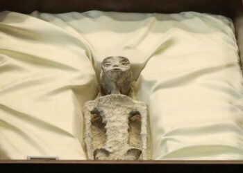 მექსიკის კონგრესში “უცხოპლანეტელების ნაშთები” მიიტანეს