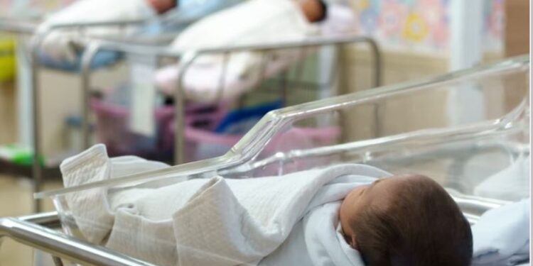 2023 წლის პირველ ექვს თვეში საქართველოში 19 431 ბავშვი დაიბადა -საქსტატი