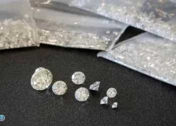 46 029 ლარის არადეკლარირებული ბრილიანტის ქვები და ოქროს ბეჭედი – საქართველოს საბაჟო საზღვარზე მოქალაქე დააკავეს