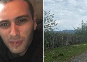 რას აცხადებს ბრალდებულის ოჯახი და რა დეტალები ხდება ცნობილი ჩოხატაურში მომხდარ მკვლელობასთან დაკავშირებით