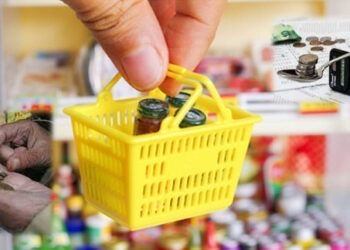 საქართველოში საარსებო მინიმუმი 253.5 ლარამდე გაიზარდა