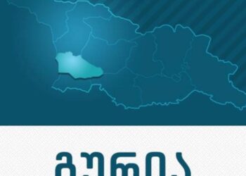 უამინდობასთან დაკავშირებით გურიის სამხარეო ადმინისტრაციაში ცხელი ხაზი ამოქმედდა