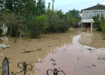 ლანჩხუთში 200-მდე ოჯახი ექვემდებარება განსახლებას – ლანჩხუთის მერი