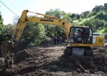 ვიდეო – სტიქიის სალიკვიდაციო სამუშაოები ლანჩხუთისა და ოზურგეთის მუნიციპალიტეტებში