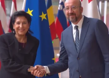 სალომე ზურაბიშვილი შარლ მიშელს შეხვდა