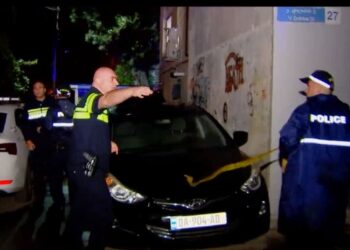 ყოფილი ცოლისა და სიდედრის მკვლელობის საქმეზე, ახალი დეტალებია ცნობილი