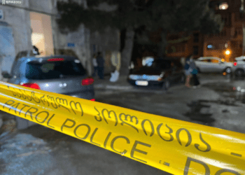 კაცი, რომელმაც თბილისში ყოფილი ცოლი და სიდედრი მოკლა, შსს-ს თანამშრომელია