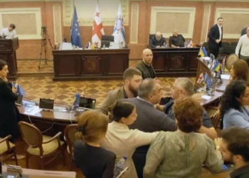 ფიზიკური დაპირისპირება დეპუტატებს შორის, საკრებულოს სხდომაზე