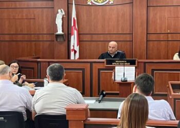 ლავროვის შვილის საწინააღმდეგო აქციაზე დაკავებული 11 ადამიანი მოსამართლემ გაამართლა