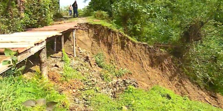 გურიის ახალი ამბები – 13. 09. 2023