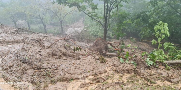 შსს – გურიაში, სტიქიის ზონაში მონიტორინგი სპეციალური დრონებით მიმდინარეობს