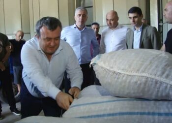 თხილის ხარისხი და ფასი – მოქალაქეების, ოპოზიციის, ხელისუფლების, ფერმერის შეფასებები