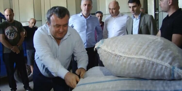 თხილის ხარისხი და ფასი – მოქალაქეების, ოპოზიციის, ხელისუფლების, ფერმერის შეფასებები