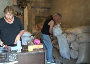 რამ გამოიწვია თხილის დაბალი ხარისხი და ფასი – რას ფიქრობენ ოზურგეთში