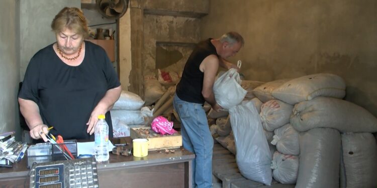 რამ გამოიწვია თხილის დაბალი ხარისხი და ფასი – რას ფიქრობენ ოზურგეთში