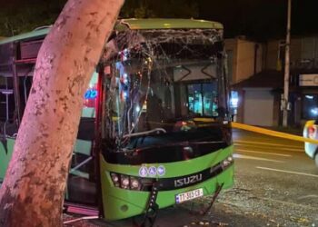 თბილისში ავტობუსი ხეს შეეჯახა