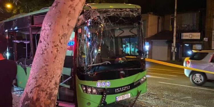 თბილისში ავტობუსი ხეს შეეჯახა