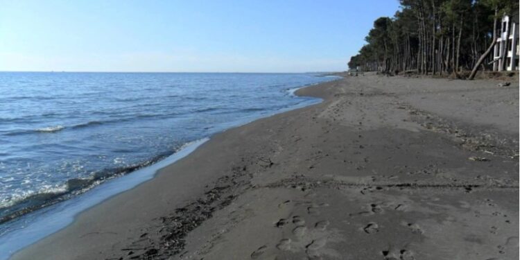 გრიგოლეთში ზღვამ ადამიანის ცხედარი გამორიყა