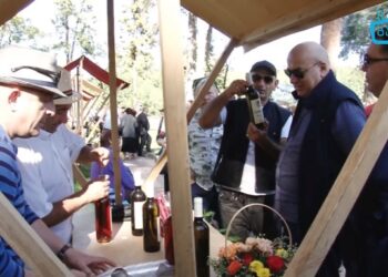 ვიდეო – სოფელ ხიდისთავში ფესტივალი – „ღვინის დღეები“ მიმდინარეობს