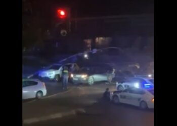 ვიდეო – თბილისში ქარმა განათების ბოძი და ხე წააქცია