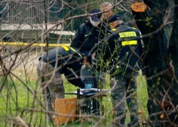 გარდაცვლილი 12 წლის ბავშვის საქმეზე, სამხარაულის ბიუროს ექსპერტს ბრალი წარედგინა