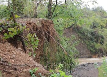 დატბორილი სახლები და მეწყერსაშიში ზონები – სტიქიამ ჩოხატაური დააზარალა