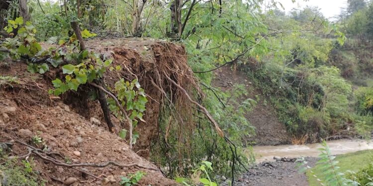 დატბორილი სახლები და მეწყერსაშიში ზონები – სტიქიამ ჩოხატაური დააზარალა