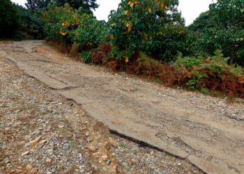 ”ამ გზაზე მოძრაობა უკვე შეუძლებელია” – სოფელ ციხისფერდის მოსახლეობა გზის რეაბილიტაციას ითხოვს