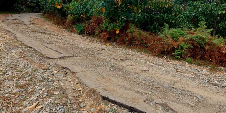 ”ამ გზაზე მოძრაობა უკვე შეუძლებელია” – სოფელ ციხისფერდის მოსახლეობა გზის რეაბილიტაციას ითხოვს