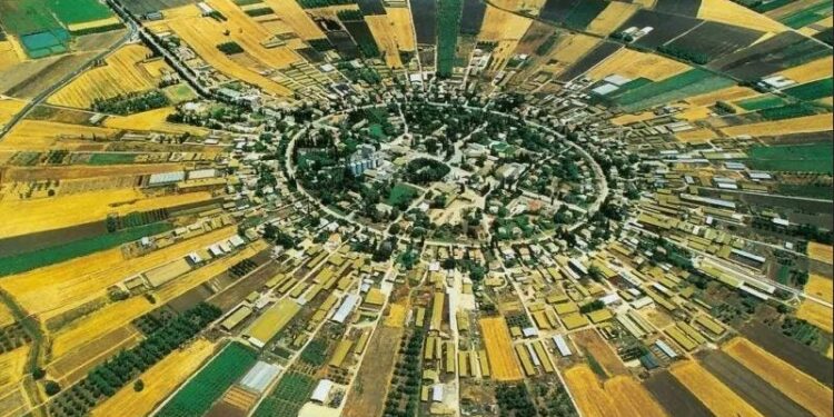 რა არის კიბუცი – ლაშა ჩხაიძის რუბრიკა