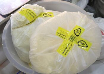 “ყველის 4 ნიმუშში, მცენარეული ცხიმები აღმოჩნდა”- სურსათის ეროვნული სააგენტოს განცხადება