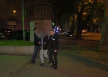 ავტომობილების სადგომზე, 6 მანქანის გაქურდვისთვის დაკავებულია 1 პირი – შსს