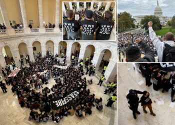 პალესტინის მხარდაჭერი მომიტინგეები აშშ-ის კონგრესის შენობაში შეიჭრნენ