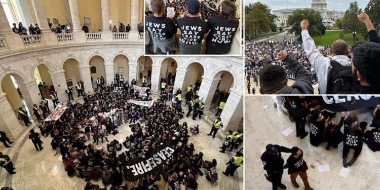 პალესტინის მხარდაჭერი მომიტინგეები აშშ-ის კონგრესის შენობაში შეიჭრნენ