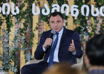 “მალე სკოლებს არჩევით სავალდებულო ნაწილად, პროფესიული განათლების რამდენიმე მიმართულება ექნება” – განათლების მინისტრი