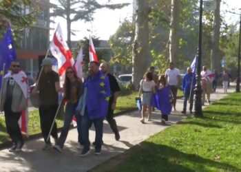 ოზურგეთში კამპანია ,, შენ ევროკავშირში“ გაიმართა