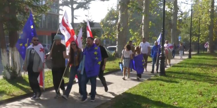 ოზურგეთში კამპანია ,, შენ ევროკავშირში“ გაიმართა